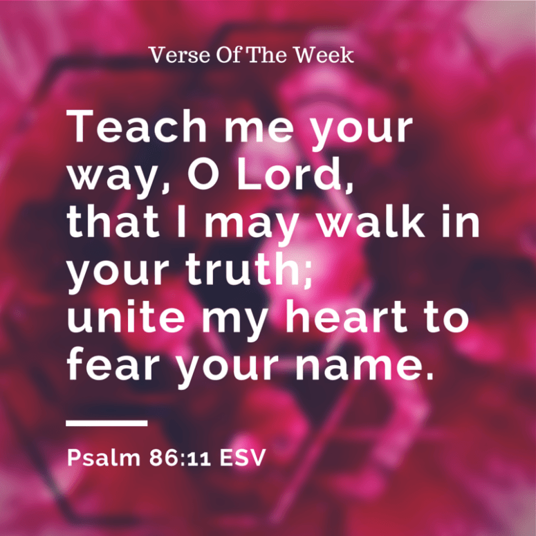 Teach me your way, O Lord,    that I may