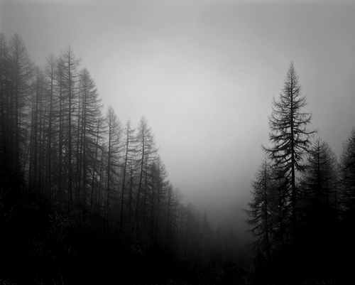 bampw-black-amp-white-black-and-white-dark-darkness-Favim.com-417159